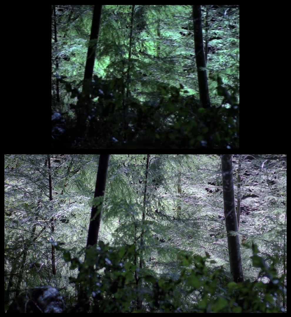 X-Files Blu-ray DVD Comparison 101 1X79 Pilot Screencap