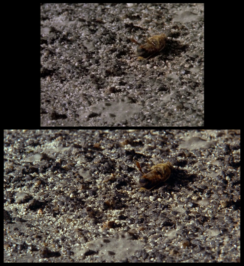 X-Files Blu-ray DVD Comparison 401 4X01 Herrenvolk Screencap