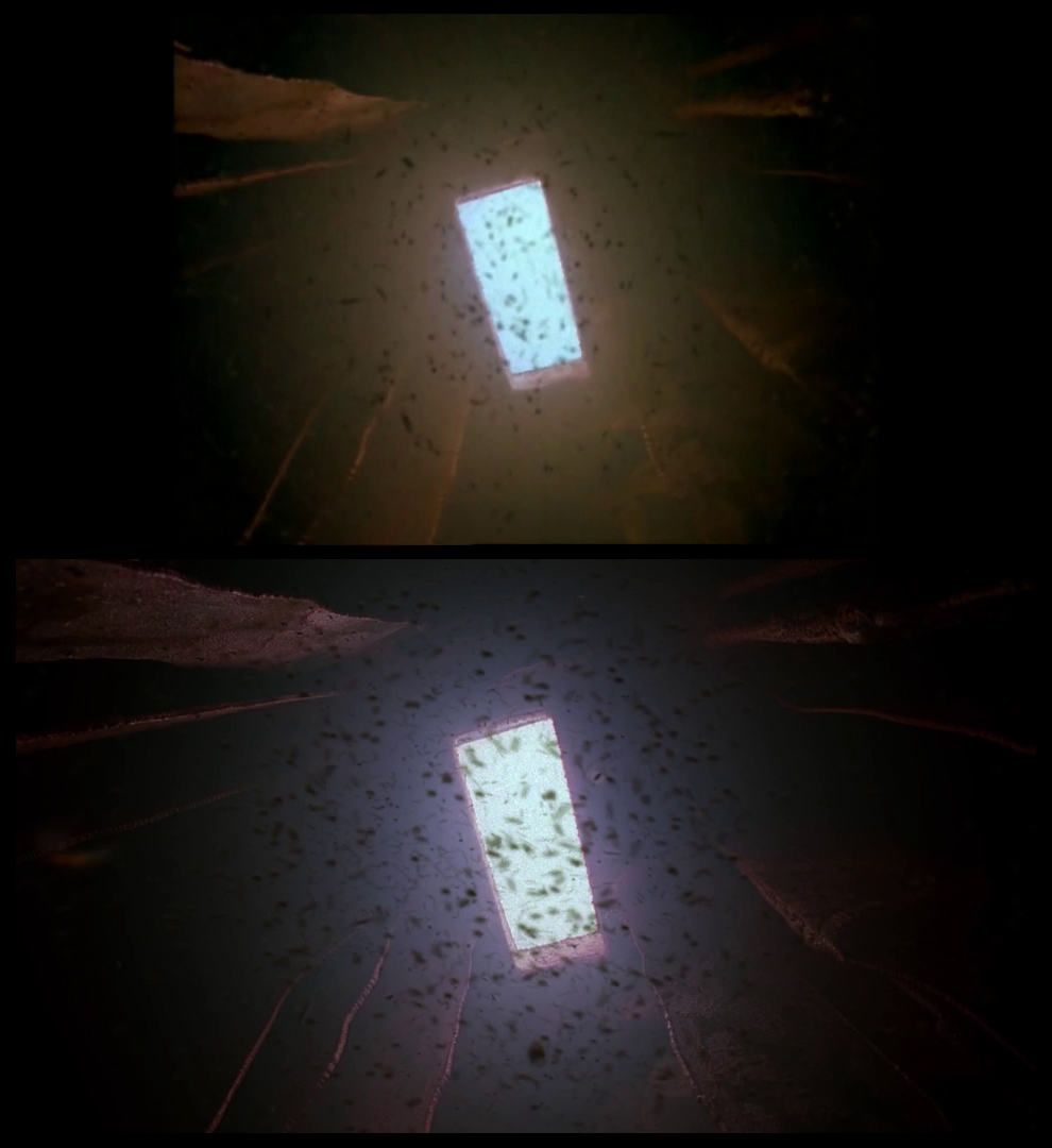 X-Files Blu-ray DVD Comparison 401 4X01 Herrenvolk Screencap
