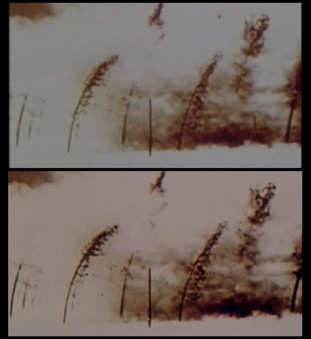 X-Files Blu-ray DVD Comparison 501 5X02 Redux Screencap X-Files Blu-ray DVD Comparison 501 5X02 Redux Screencap